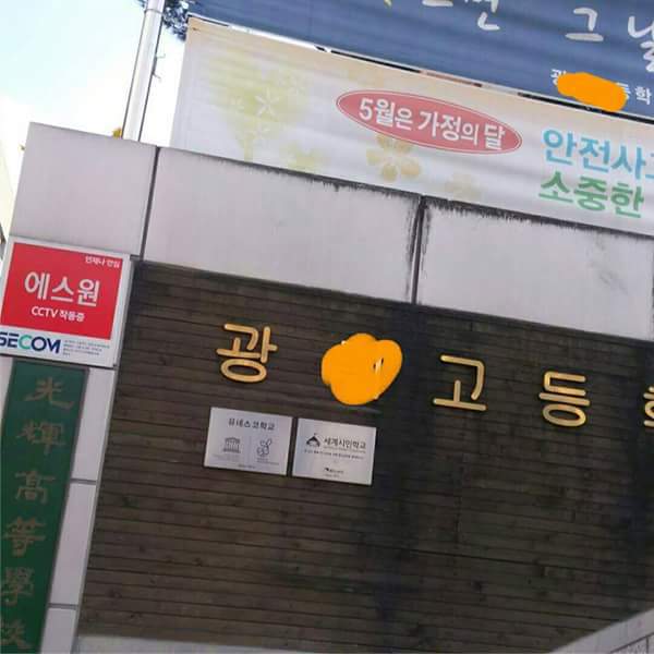 광명시 고등학교 길고양이 학대사건 | 인스티즈