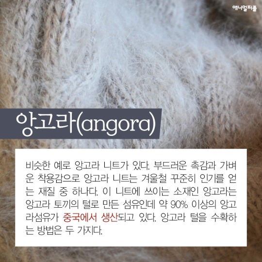 일상에 스며든 동물학대 생산품들 | 인스티즈