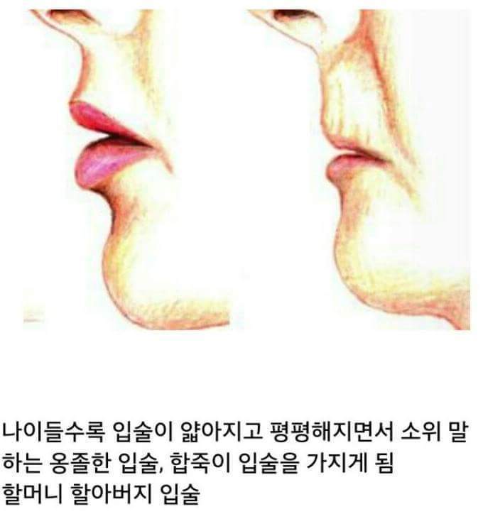 얼굴에서 나이먹을 수록 급격하게 차이나는 것 | 인스티즈