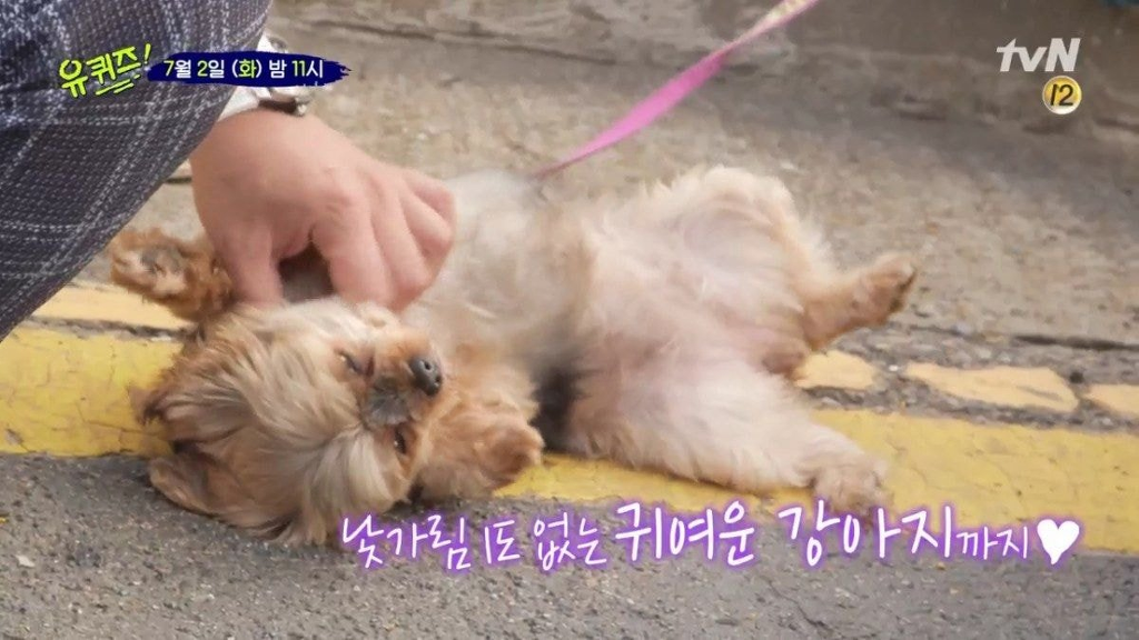 [유퀴즈] 유재석한테 상처받은 댕댕이 | 인스티즈