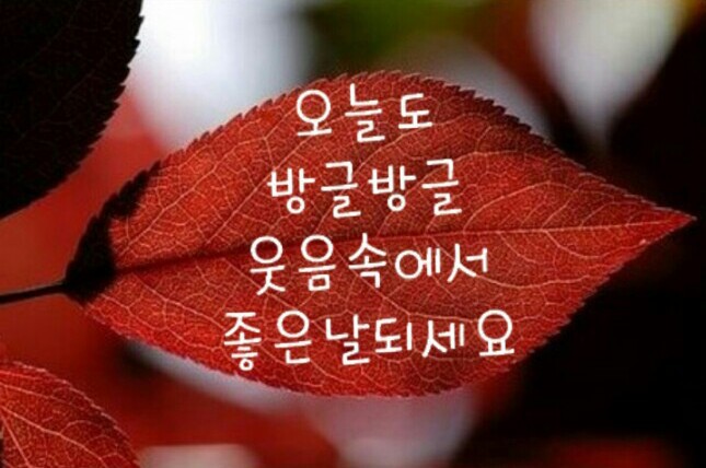 소사구청 이미지