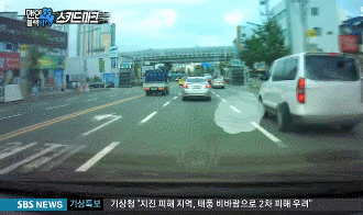 미쳐 날뛰는 타이어 ㄷㄷ | 인스티즈