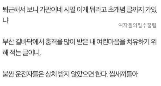 부산을 겪을 손수운전자에게(욕설주의) | 인스티즈
