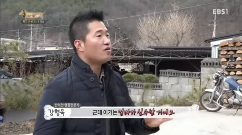 강형욱 개 교육 프로그램 보시는분 공감 | 인스티즈