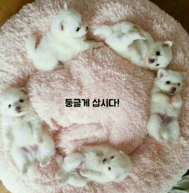 해피 이미지