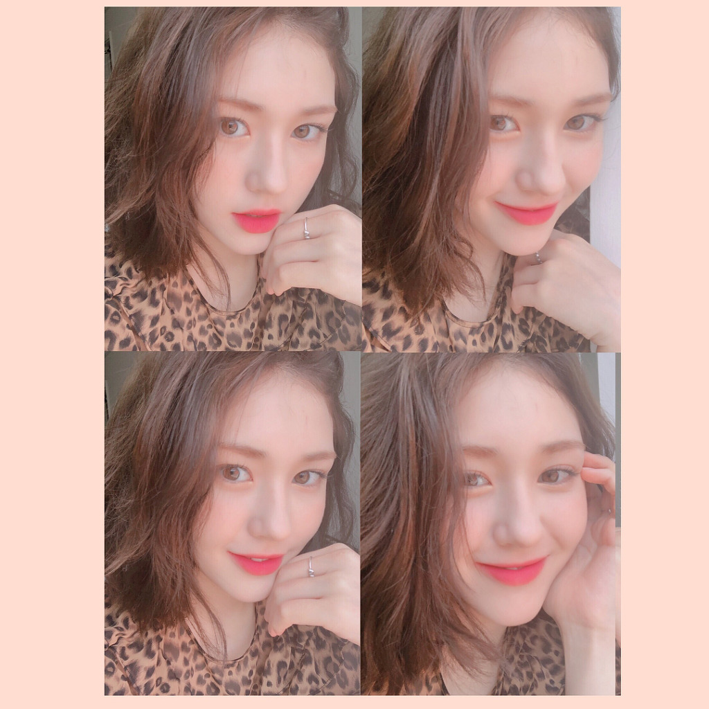소미네일 이미지