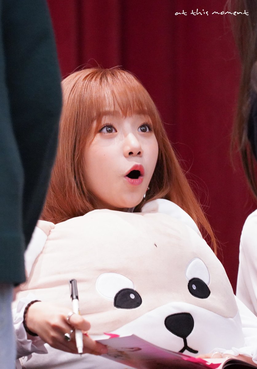 귀여운 아이즈원 동물농장 ㅋㅋㅋㅋㅋ | 인스티즈
