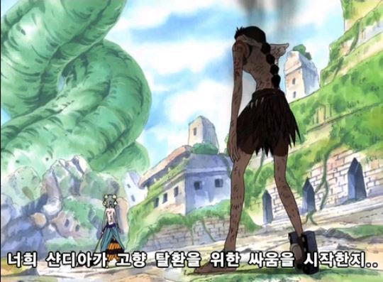 원피스 핵간지 캐릭터 ㄷㄷㄷ | 인스티즈