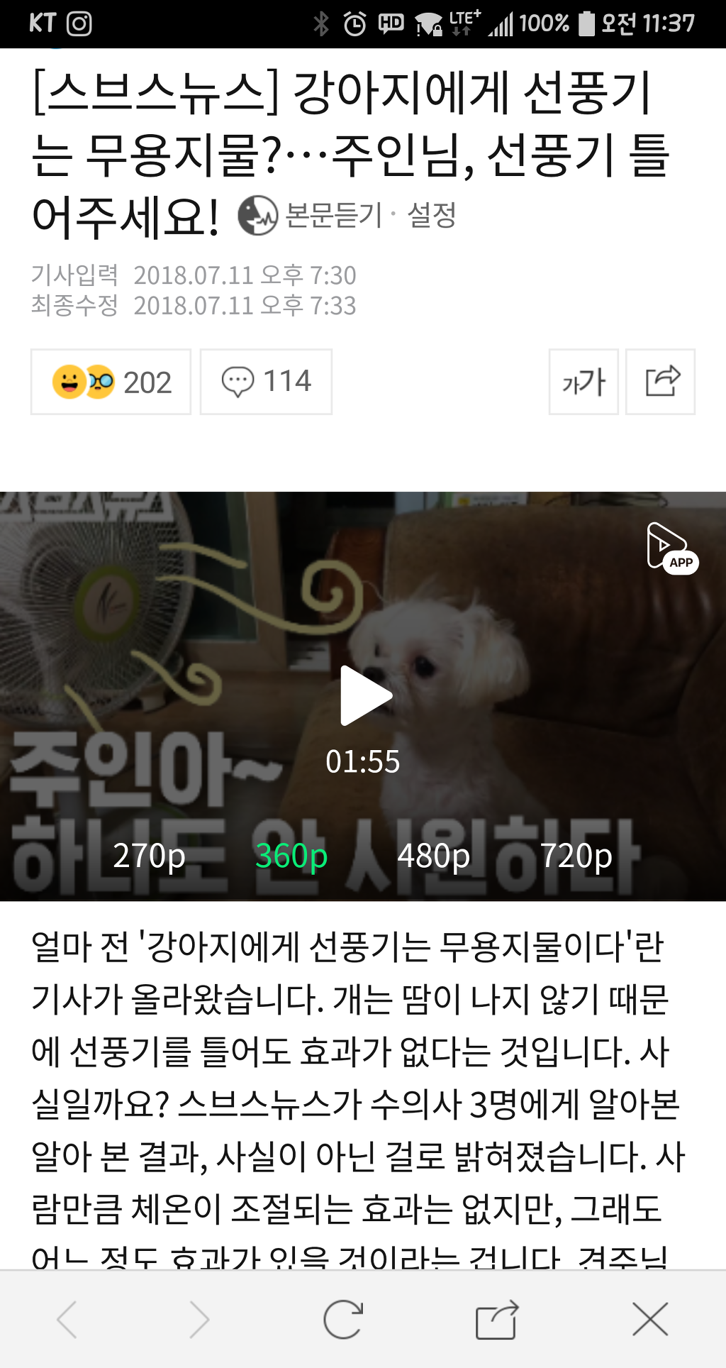 강아지들은 땀샘이 없어서 선풍기가 필요없다니까욧!! | 인스티즈