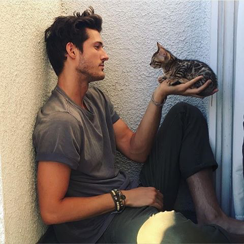 귀여운 고양이들 | 인스티즈